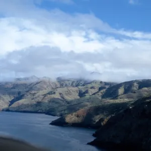 North side, Santa Cruz Island