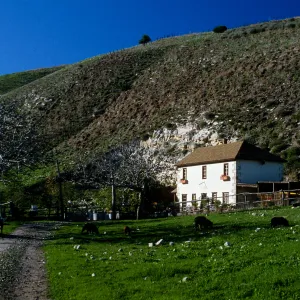 Smugglers Ranch, Santa Cruz Island