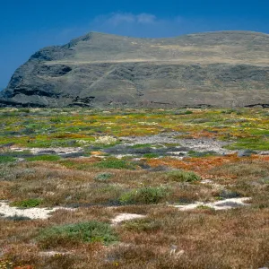 coastal flats, Fraser Point, Santa Cruz Island