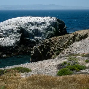 Cormorant Rocks, Fraser Point, Santa Cruz Island