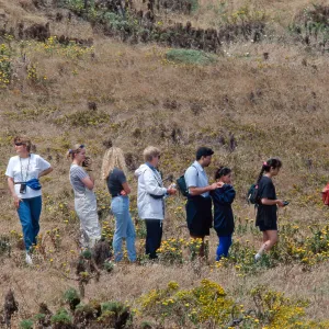 island packers, naturalist tour, East Anacapa Island