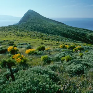 W. Anacapa Island--Summit Peak from W flanks of Camel Peak