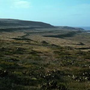 San Clemente, Island-marine terrace, Marine Terrace Grade