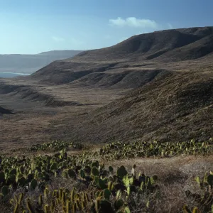 San Clemente Island, coastal terrace