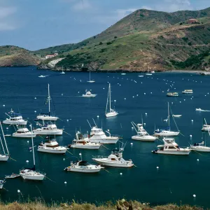 Santa Catalina Island, Isthmus Cove