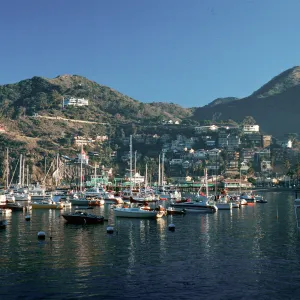 Santa Catalina Island, Avalon