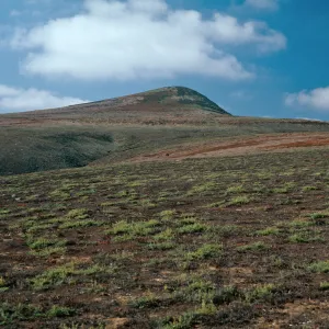 Santa Barbara Island, North Peak from Arch Point