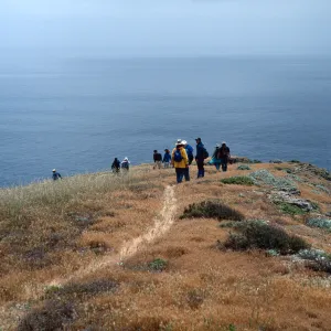 Santa Barbara Island, Group by Signal Peak