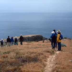 Santa Barbara Island, Group by Signal Peak