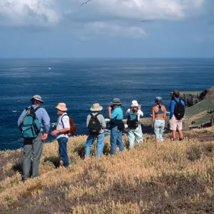 Santa Barbara Island, west end, Birdwatching group