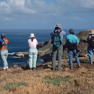 Santa Barbara Island, west end, Birdwatching group