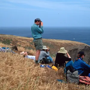 Santa Barbara Island, Birdwatching group