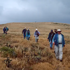 Birdwatching group--Signal Peak, Santa Barbara Island