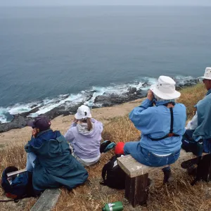 Santa Barbara Island, overlook, Birdwatching group