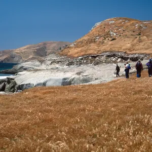 Field study group, Santa Rosa Island, S of East Point