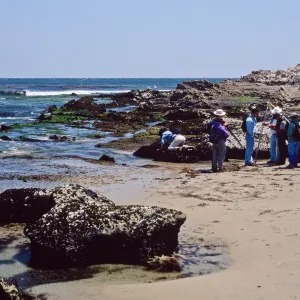 field study group, Santa Rosa Island, East Point tide pools