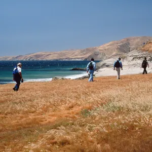 Field study group, S of East Point, Santa Rosa Island