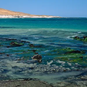 tide pools near East Point, Santa Rosa Island