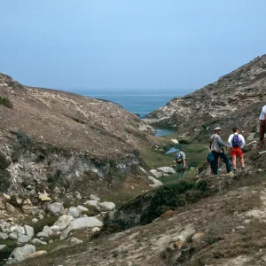 lower CaÃ±ada Lobos, Santa Rosa Island