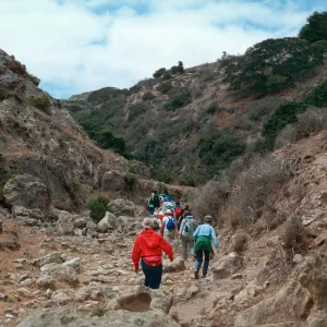 Cherry Canyon, Santa Rosa Island
