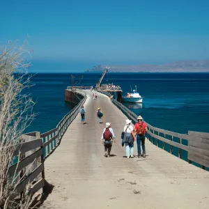 wharf, Beechers Bay, Santa Rosa Island