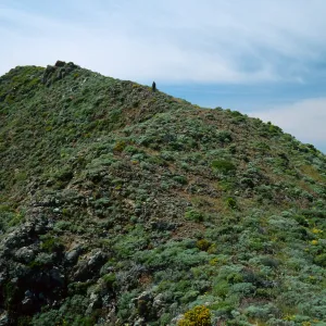 Keri hiking down East side of Summit Peak, West Anacapa Island