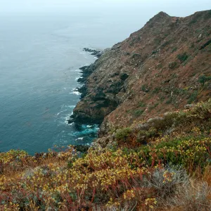 offshore bluffs, Southwest side, West Anacapa Island