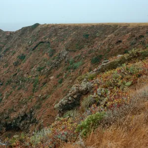 offshore bluffs, Southwest side, West Anacapa Island
