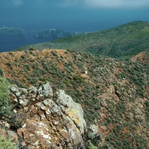 ridge, view of East Anacapa Island, West of Camel Peak, West Anacapa Island