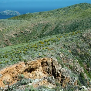 ridge, West of Camel Peak, West Anacapa Island