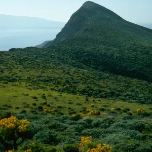 Summit Peak from Western flanks of Camel Peak, West Anacapa Island