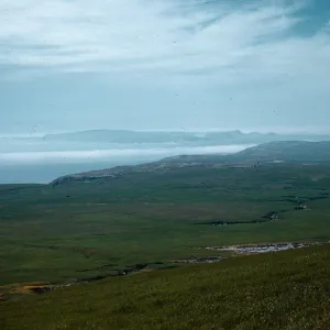 Pocket Field, Sandy Point, Santa Rosa Island