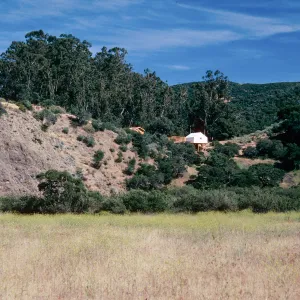 Nature Conservancy tents, West of Bosque Mano, Santa Cruz Island
