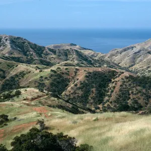 Willows Canyon, Santa Cruz Island