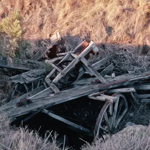 Wagon Gulch, near Christy Ranch, Santa Cruz Island