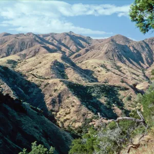 looking North from top of CaÃ±ada de la Mina, Santa Cruz Island