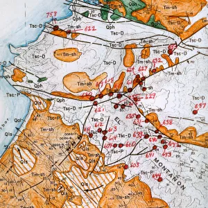 Lyonothamnus in relation to Geology, China Harbor, East end