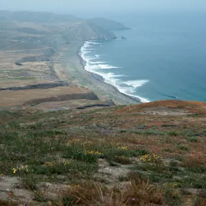 Christy Beach, Santa Cruz Island