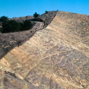 sheep damage, upper Laguna - upper Sauces Road, looking North, Santa Cruz Island