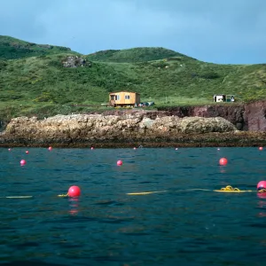 North Fish Camp, East side of South Todos Santos Island