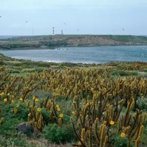 Todos Santos Island