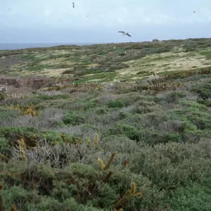 Todos Santos Island