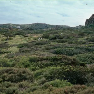 Todos Santos Island