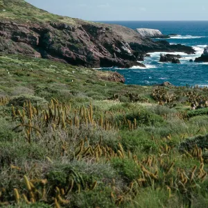 Todos Santos Island