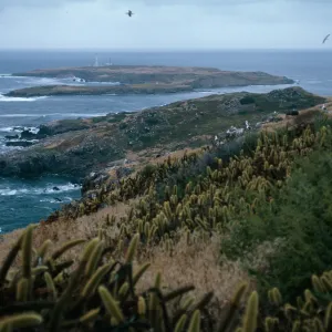 view of North island, South Todos Santos Island