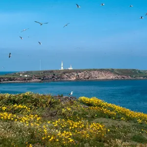 Baja lighthouse on North from North-East part of South island, Todos Santos Island