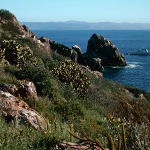 landing, East side, South Todos Santos Island