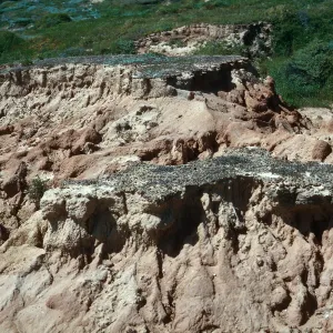 remants of original soil - West end of Daytona Beach, San Nicolas Island