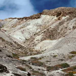 lower Cattail Canyon, San Nicolas Island