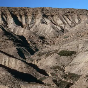 South escarpment, west of Daytona Beach, Eschscholzia ramosa sites in canyon fork, San Nicolas Island
